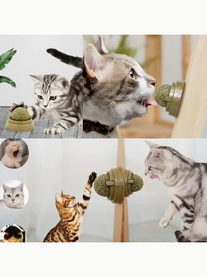 Kedi Nanesi Oyun Topu