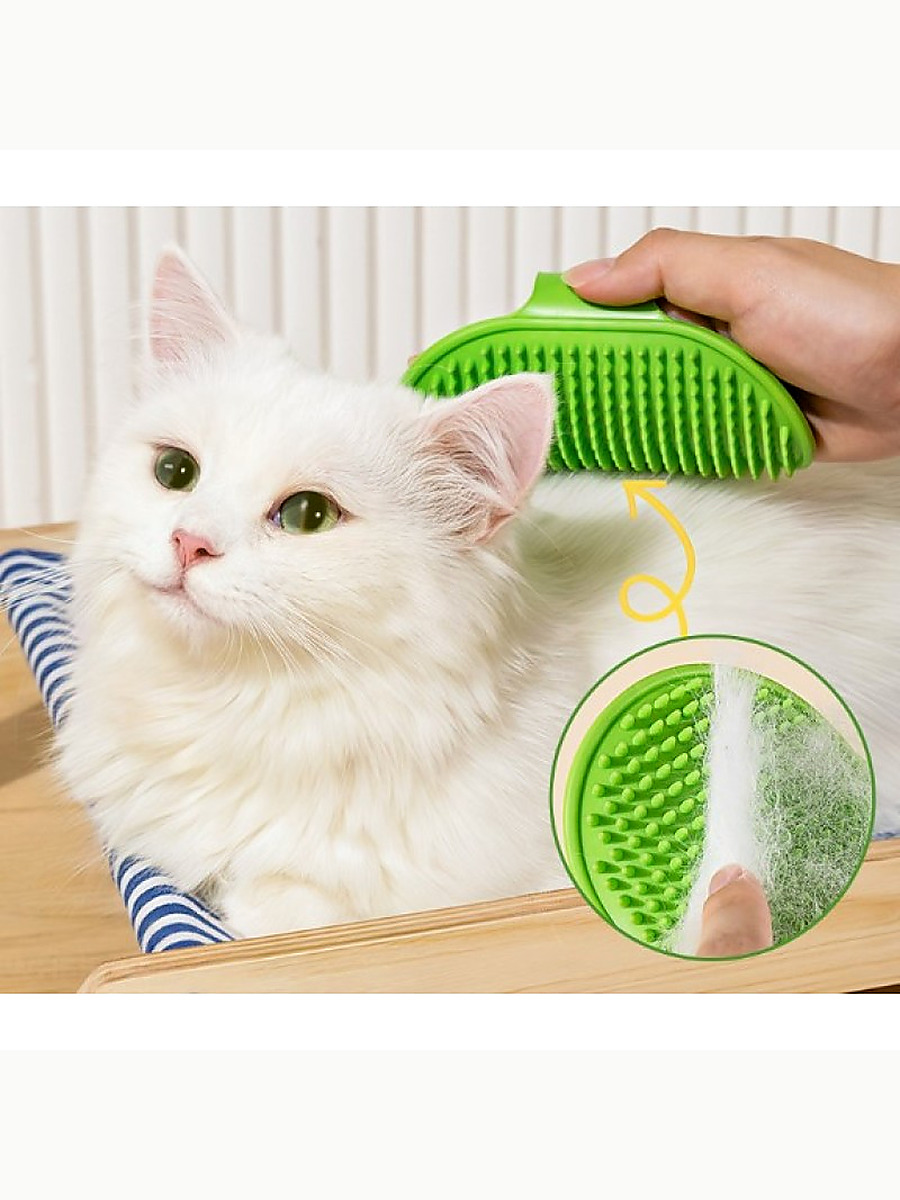 kassaba-982f207d9d3ee2c3ef01b2744215c01cea4d8709a374fda5f7bb96a92f247e8d