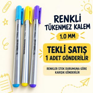 Pensan Triball Tükenmez Kalem 1,0 mm – Tekli, Karışık Renk